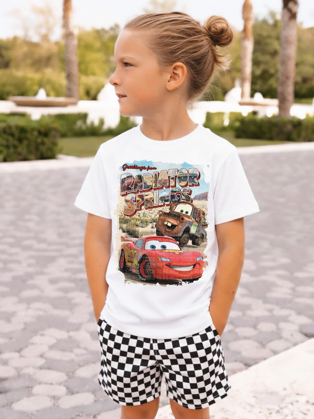Radiator (cars )