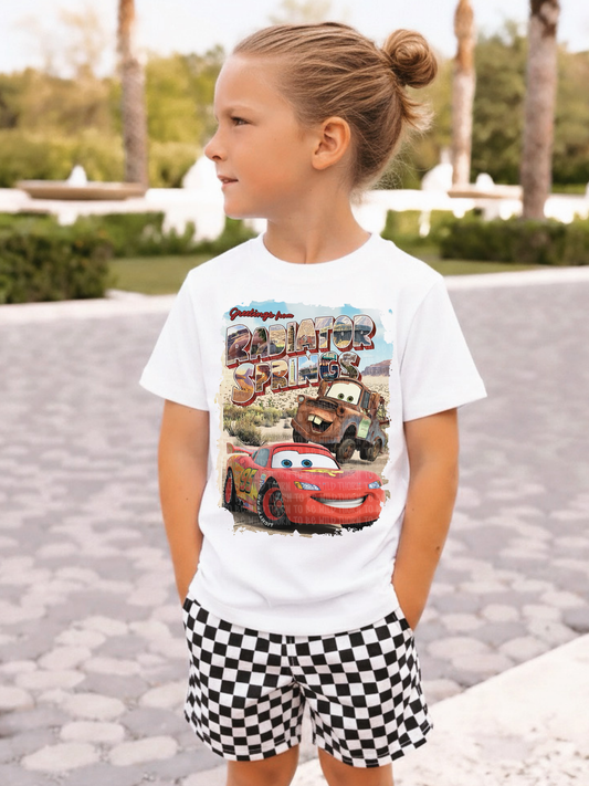 Radiator (cars )